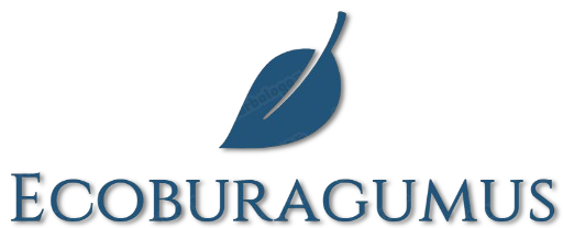 Ecoburagumus Group